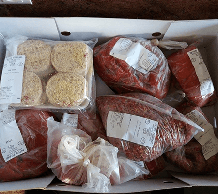 galerie9-Scs-De-Saint-vincent-Ferme-elevage-Bovin-Porcin-Saint-vincent