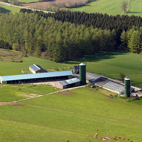 ferme-des-vieuxsarts