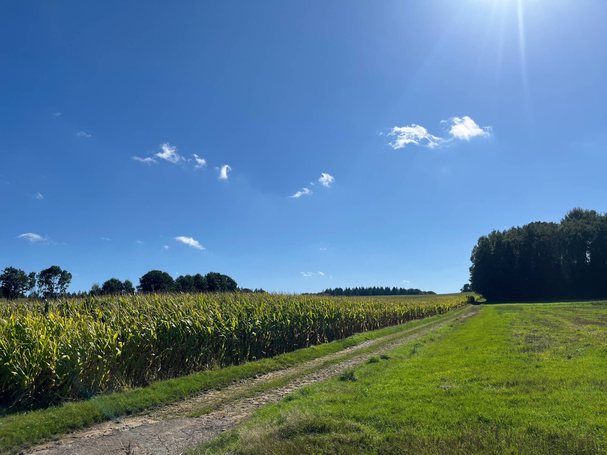 Horizon 2050 | Ferme-elevage-Bovin-Porcin-ferme-des-vieuxsarts-Saint-vincent