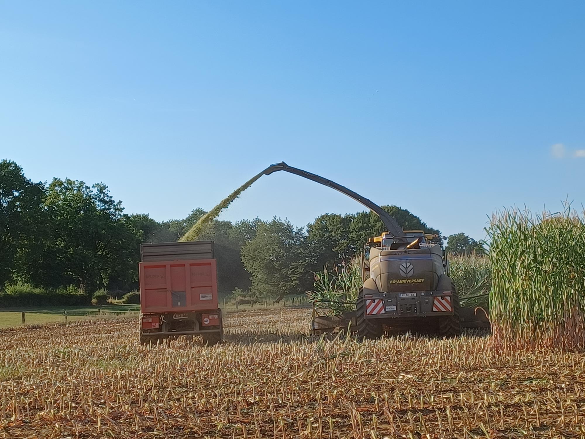 Horizon 2050 | Ferme-elevages-Bovin-Porcin-Saint-vincent