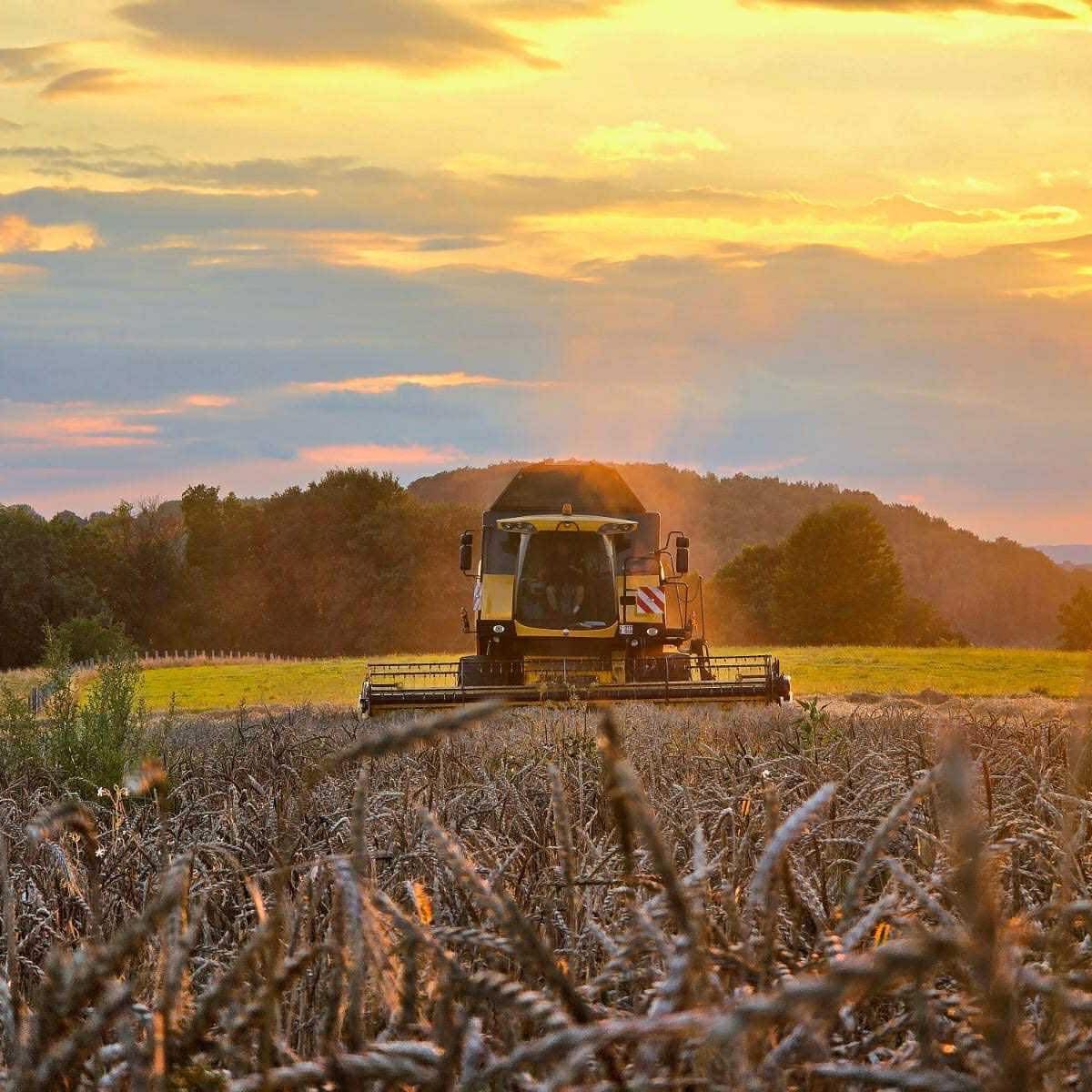 Horizon 2050 | Fermes-elevage-Bovin-Porcin-Saint-vincent